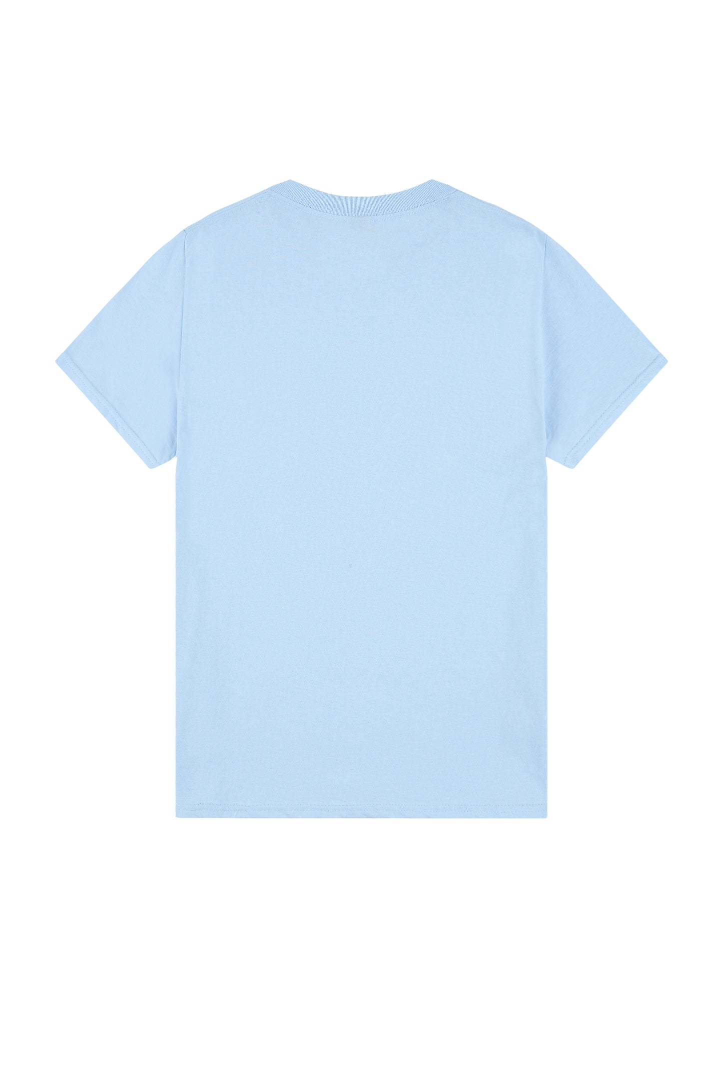 Gildan Heavy Cotton Adult T-Shirt - Many More Colors