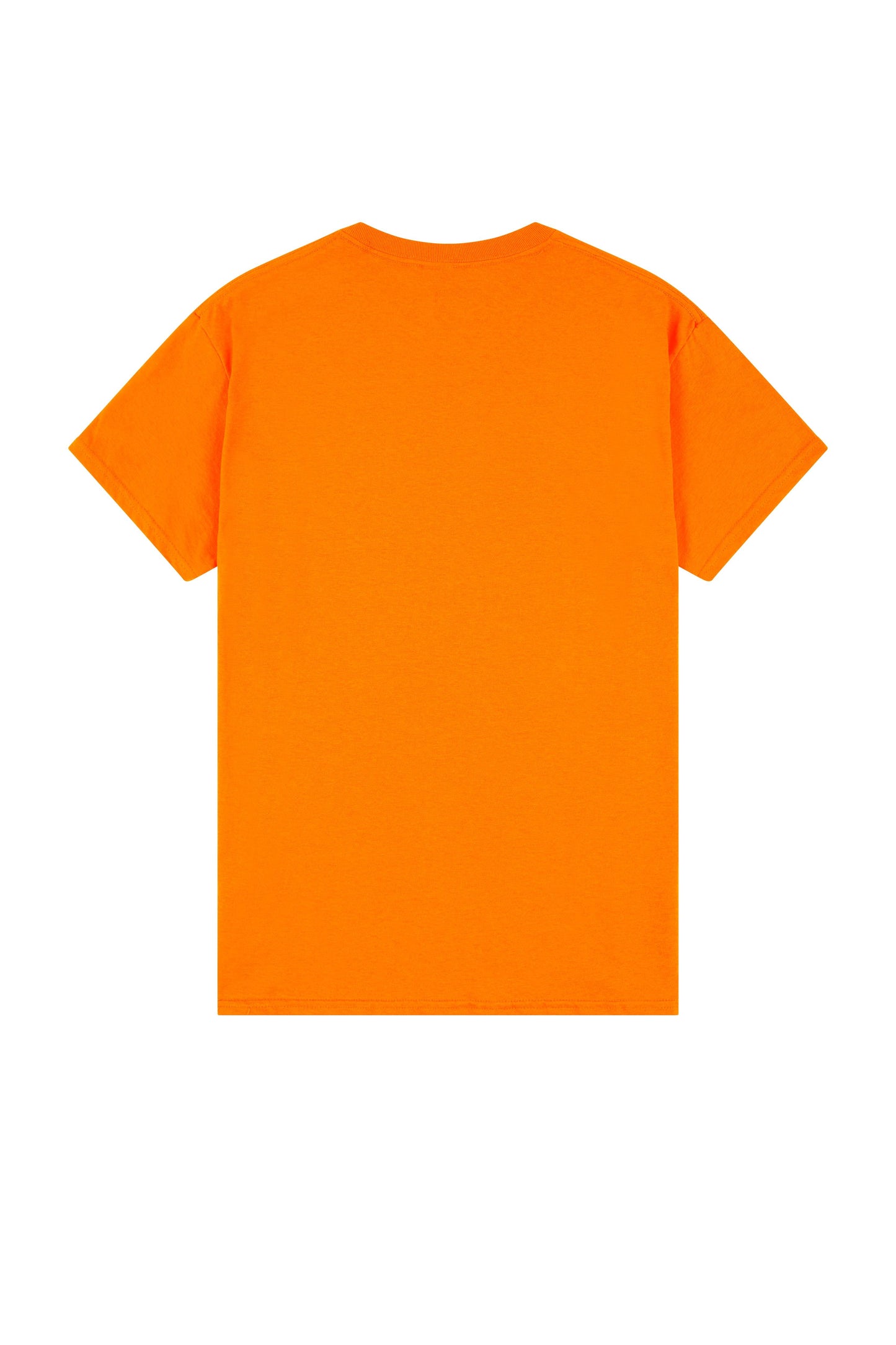 Gildan Heavy Cotton Adult T-Shirt - Many More Colors