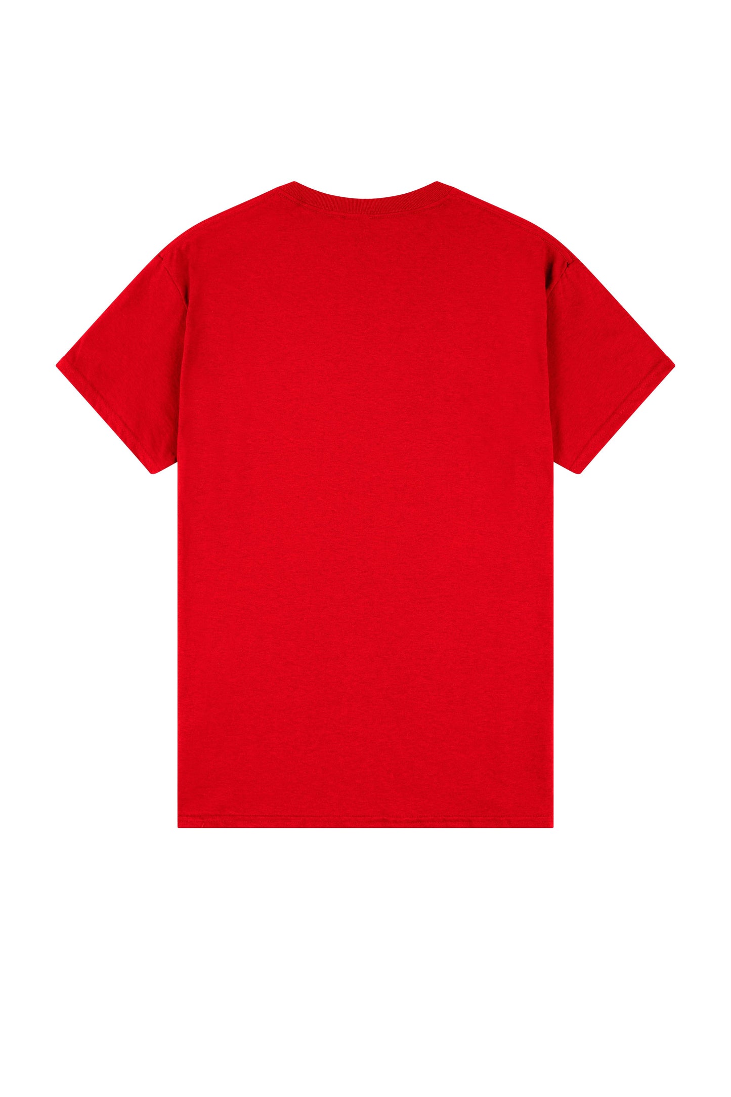 Gildan Heavy Cotton Adult T-Shirt - Unisex