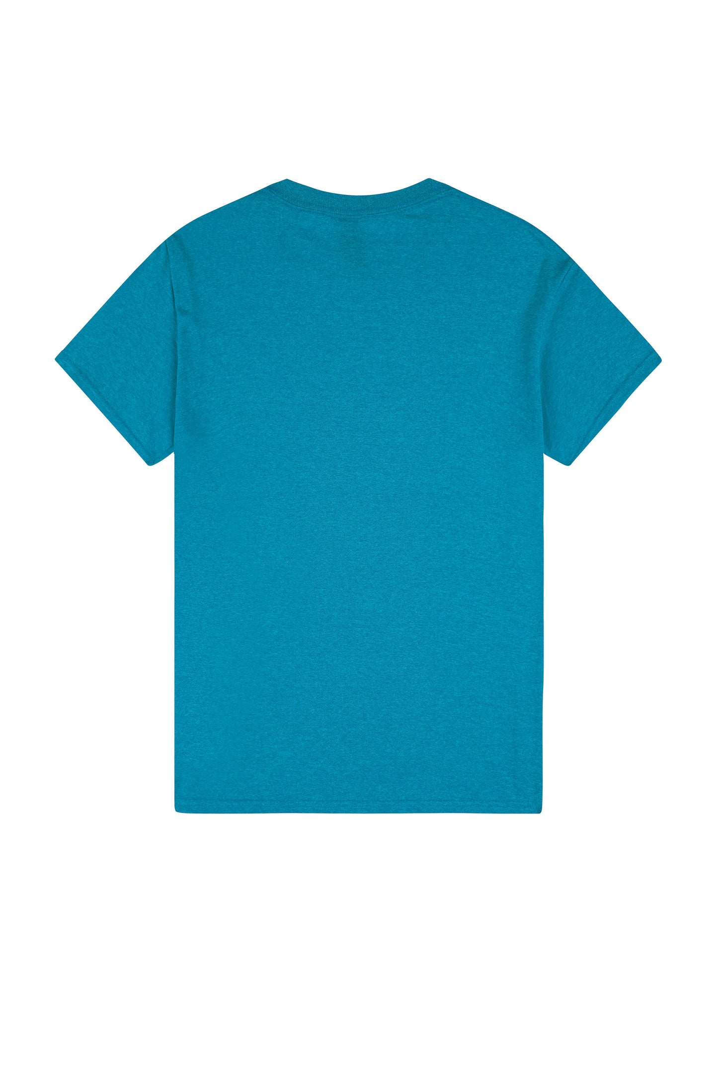 Gildan Heavy Cotton Adult T-Shirt - Unisex