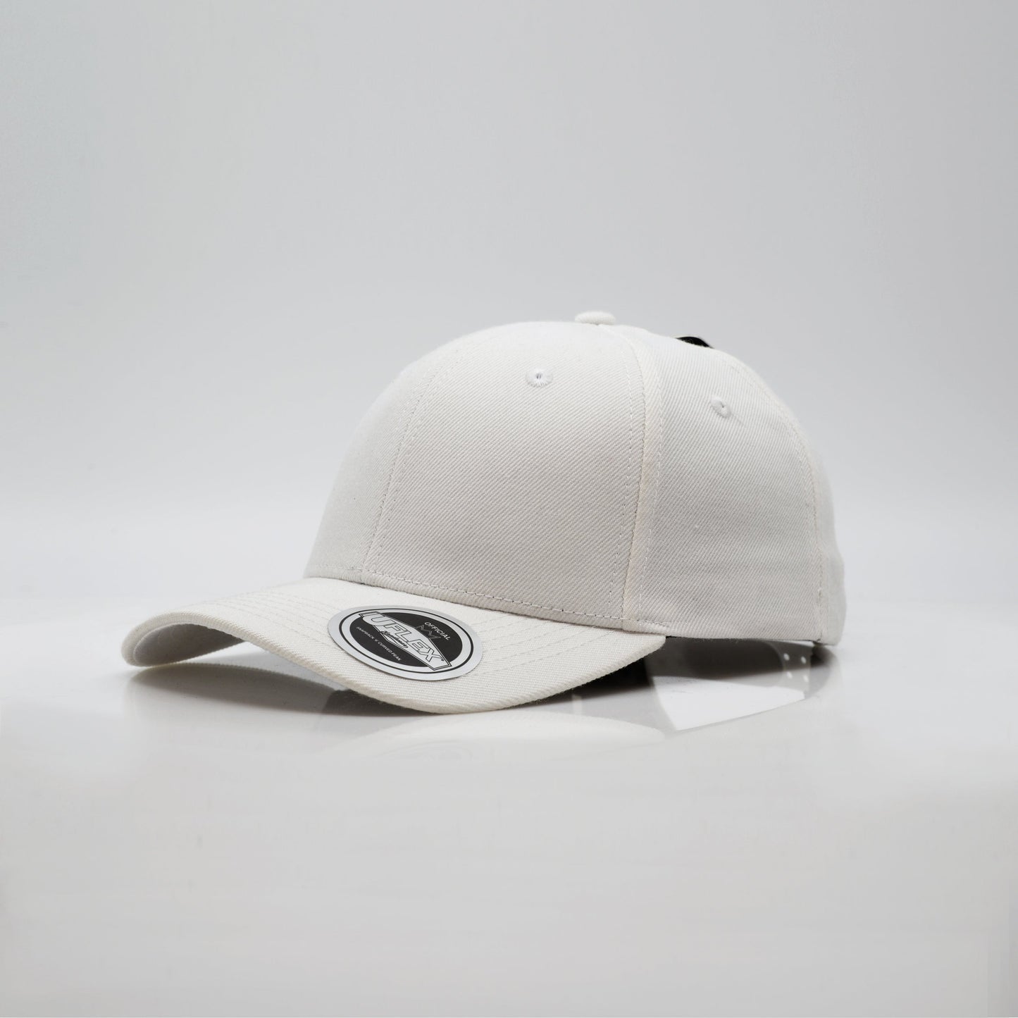 Pro Style 6 Panel Snapback
