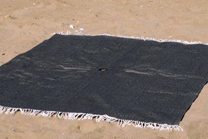 Ombrello Picnic Blanket