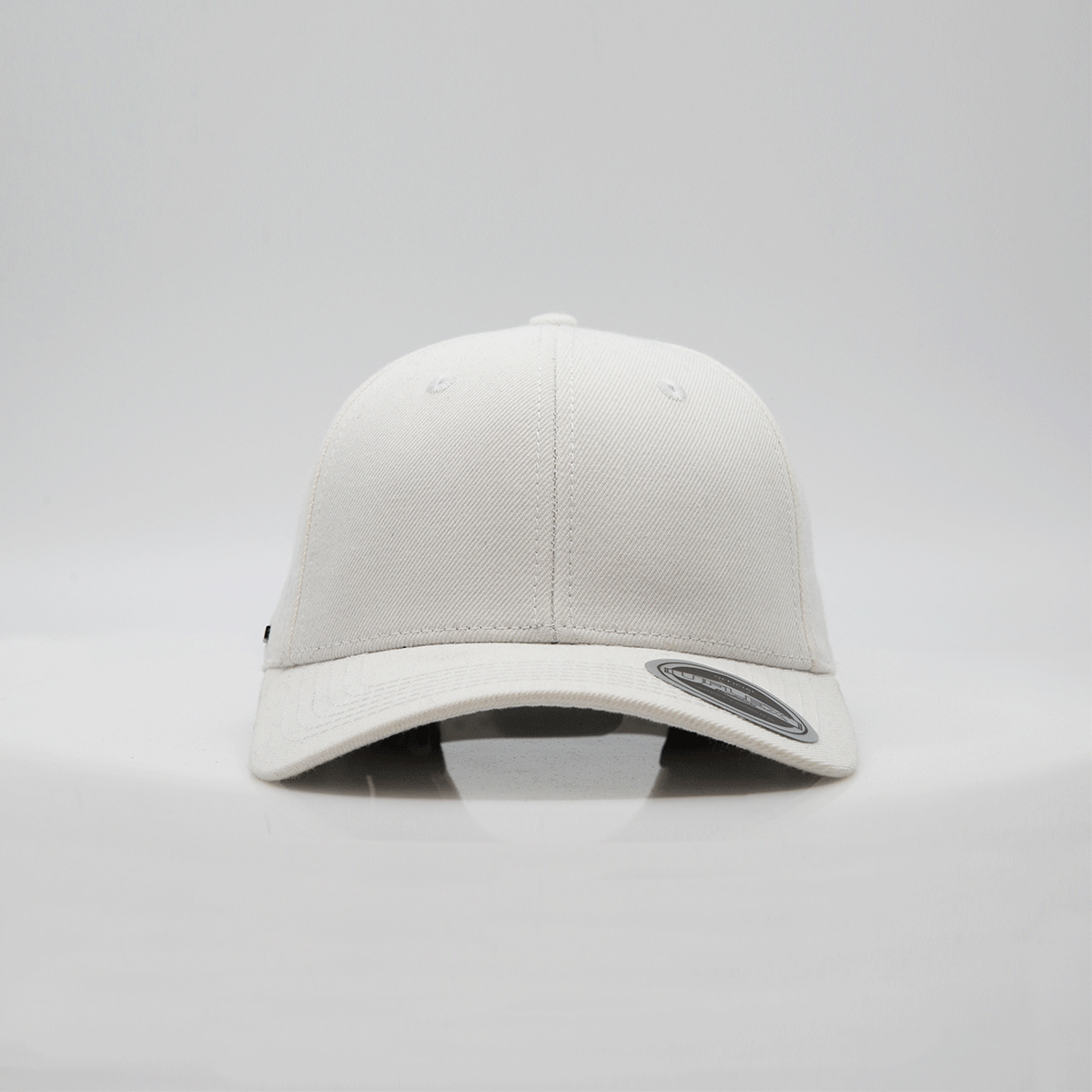 Pro Style 6 Panel Snapback